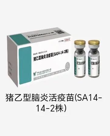 猪脑炎打什么针好得快