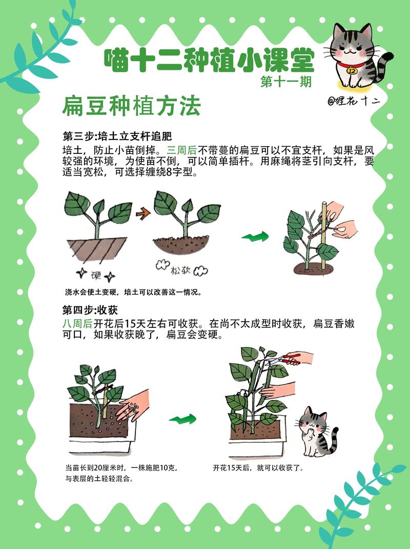 小豆苗如何更换地址