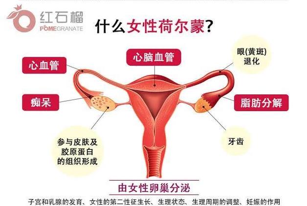 荷尔蒙对女人的作用