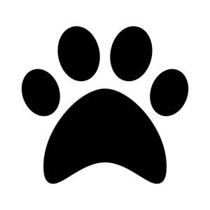 猫爪符号可复制