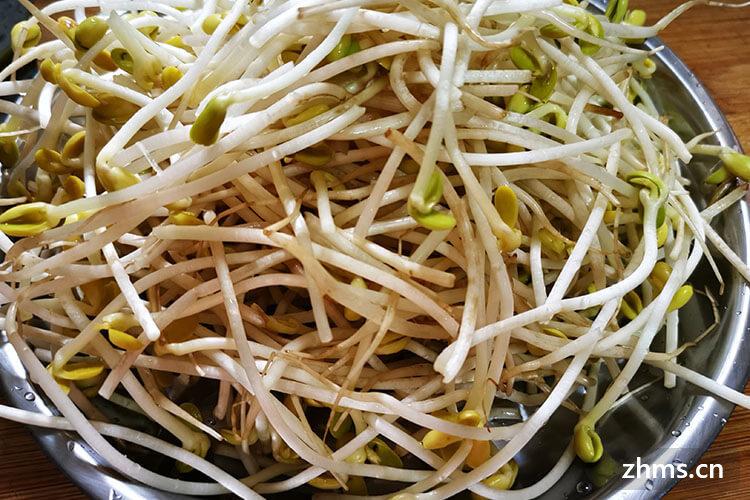 豆芽用微波炉转多久能熟 豆芽用微波炉转多久能熟