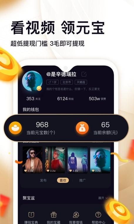 刷宝极速版的内容