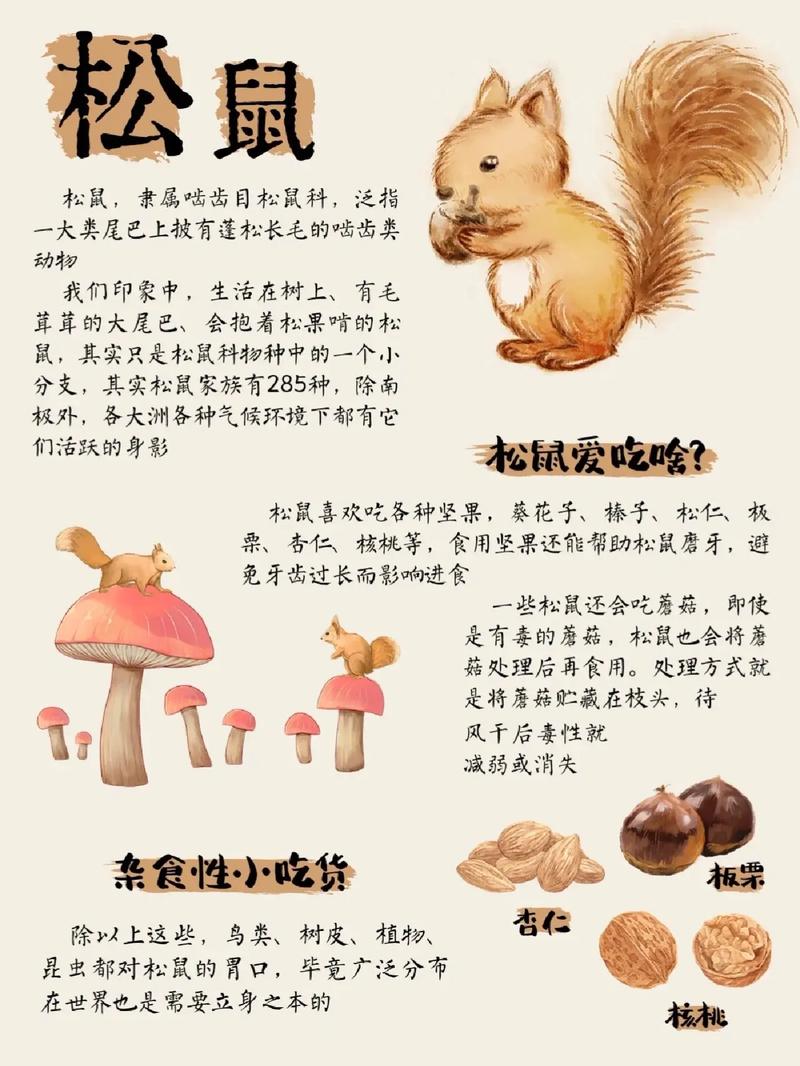 松鼠阅读app功能