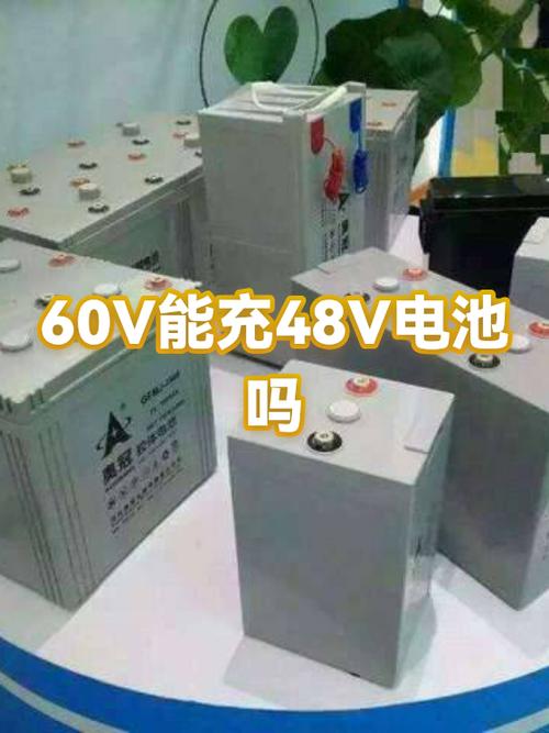 不小心用60v充48v电瓶截图1