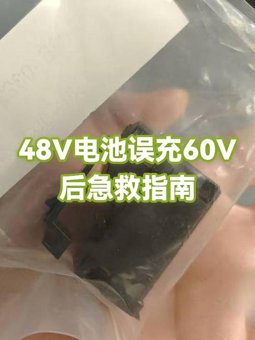 不小心用60v充48v电瓶截图2