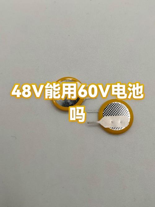 不小心用60v充48v电瓶截图3