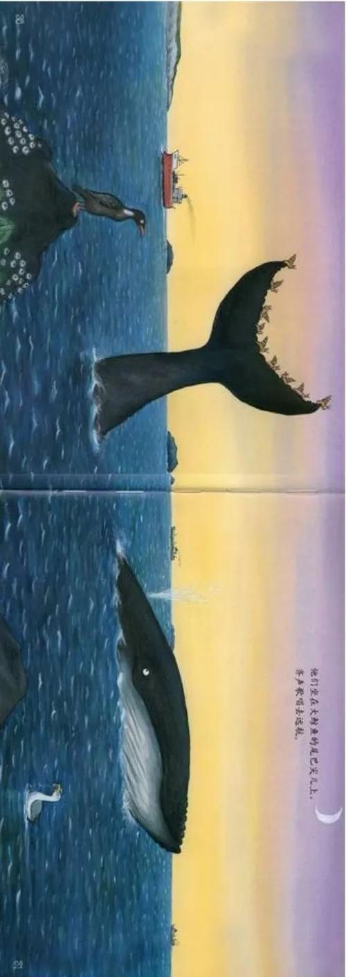 小海螺与大鲸鱼绘本分析