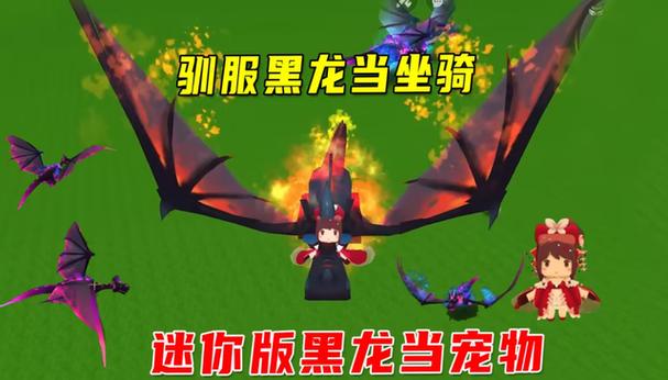 迷你世界驯服黑龙坐骑