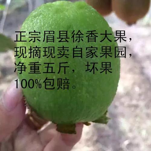 奇异社区最新版本2025截图1