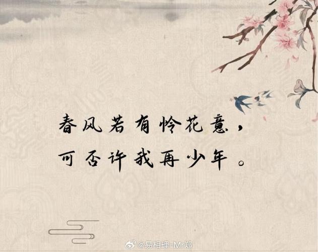 春风若有怜花意,人无两度再少年
