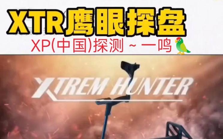 法国xp金属探测器