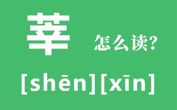 女孩叫莘的寓意