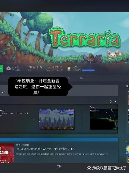泰拉瑞亚手机可以和电脑联机吗
