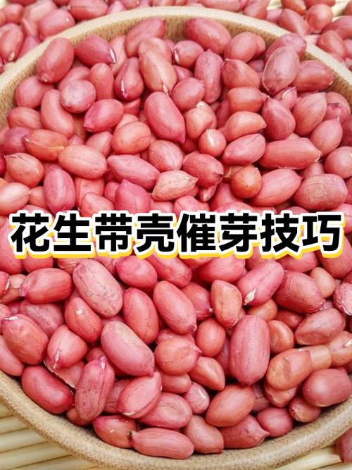 花生壳怎么用