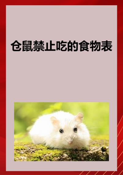 为什么不能吹仓鼠