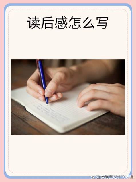 内容特点