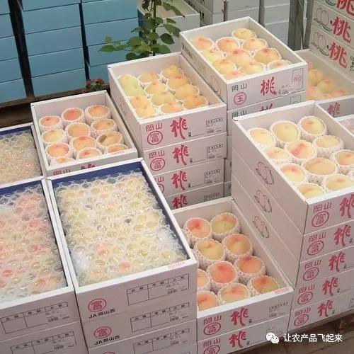 那个桃子就是盒子好看