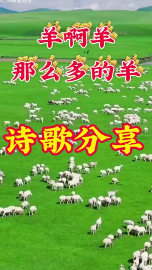 别看我只是一只羊歌曲播放
