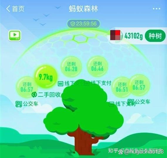 支付宝蚂蚁森林绿色能量使用方法