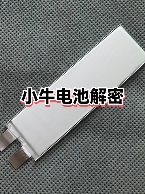 小牛电池用了6年还能用吗