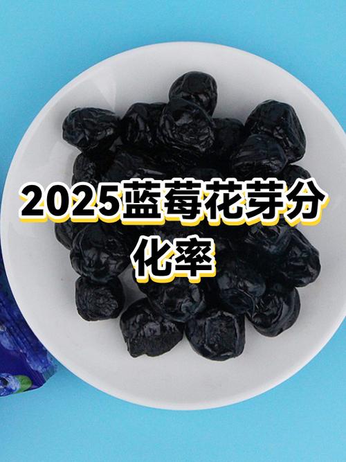 2025蓝莓5秒跳转隐藏路线效果如何百度