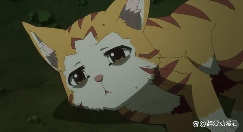 重生成猫