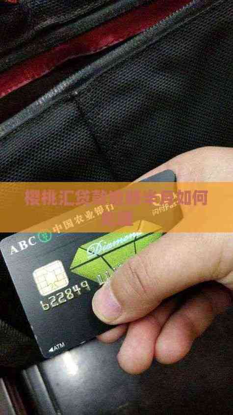 樱桃汇贷款的利息