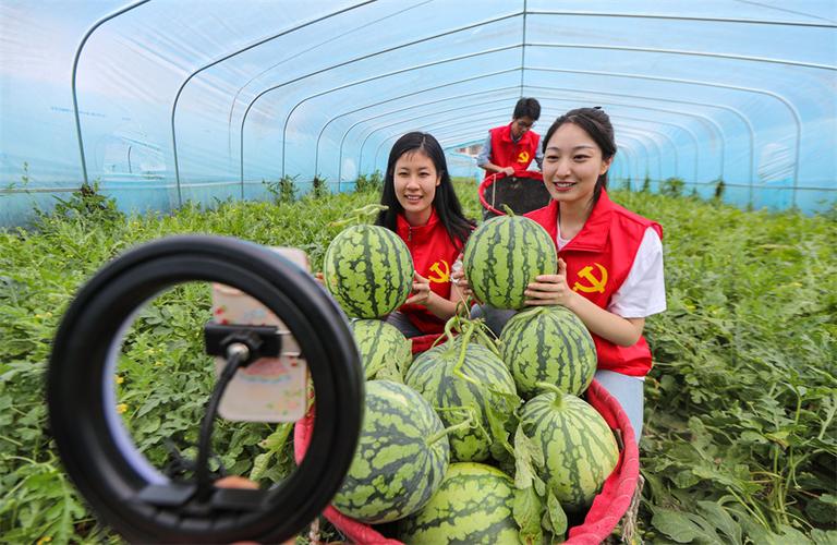 西瓜看球直播截图3