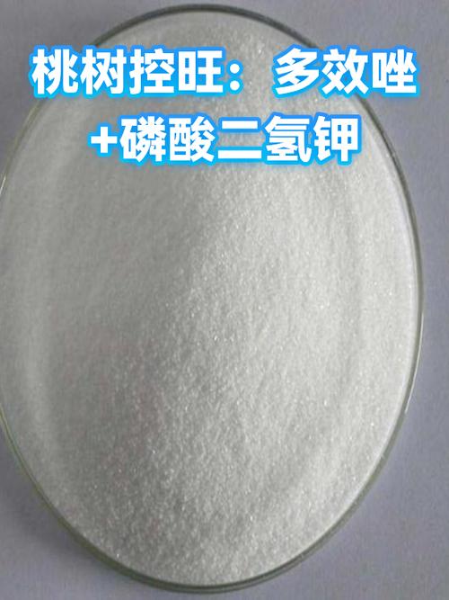 桃树控旺用什么药好?怎样用药?