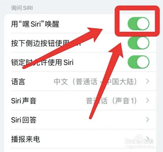 苹果手机语音输入怎么关闭