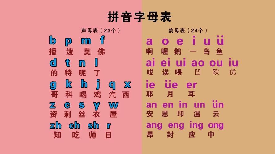 学拼音视频教程全套免费