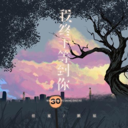 终于等到你 龙柒