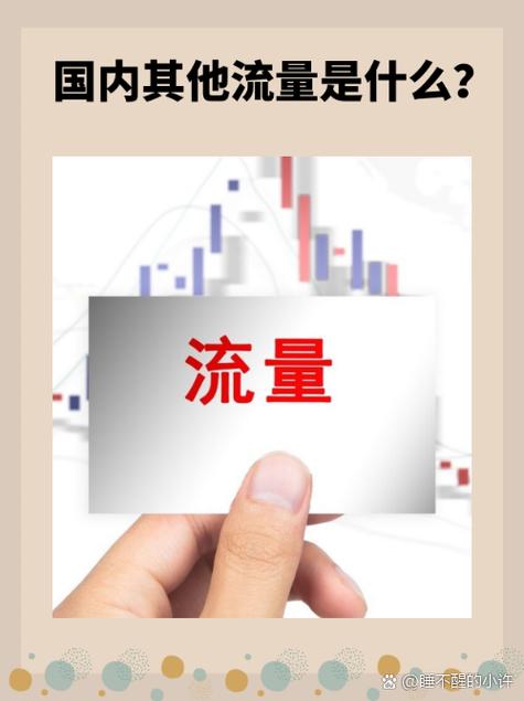 国内其他流量的意思