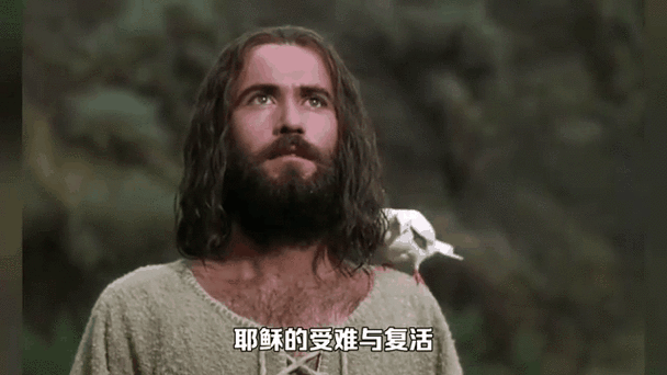 打开基督截图2