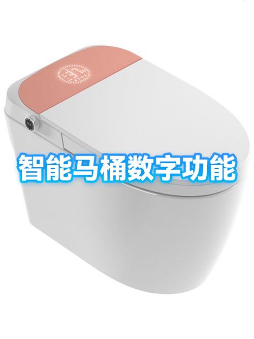 智能马桶喷头漏水