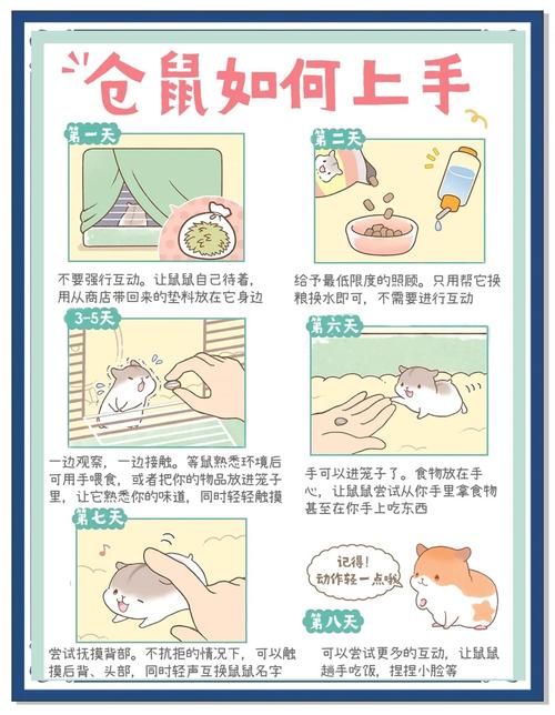 仓鼠后腿拖着走路会自愈吗