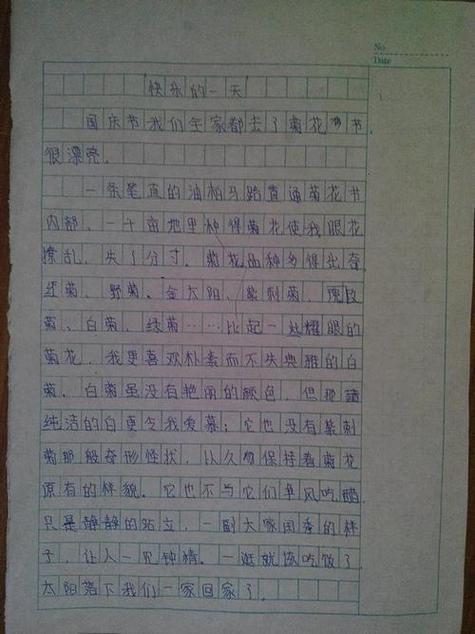 我们班的手工达人作文