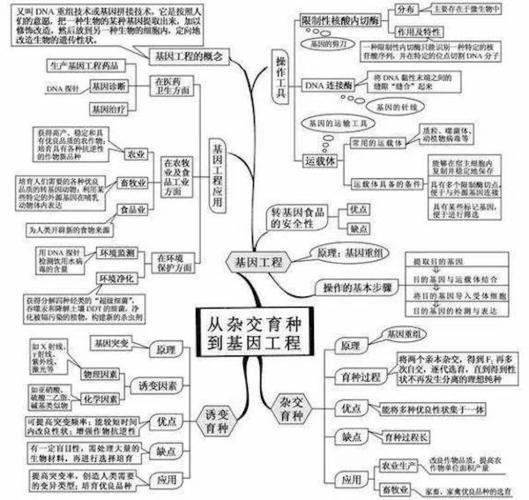 基因工程知识点总结
