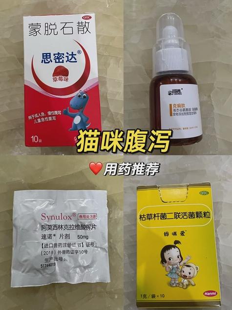 猫咪拉稀会自愈吗