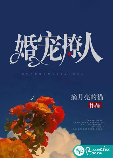 《司火之王》小说全集