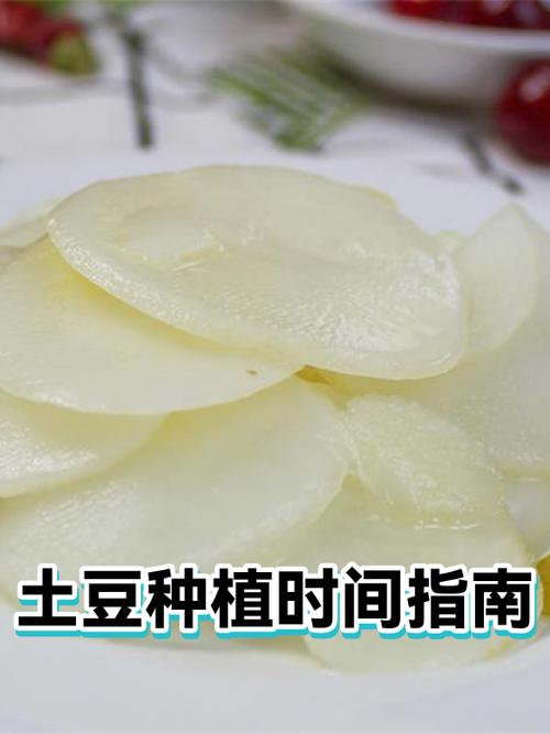 种土豆的正确时间 种土豆的正确时间