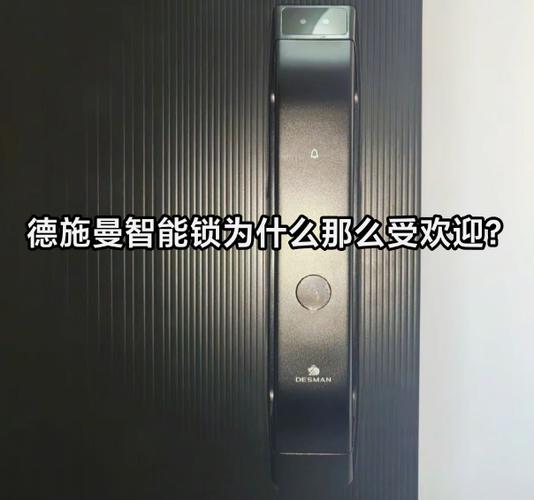 德施曼的蓝牙设置按钮在哪