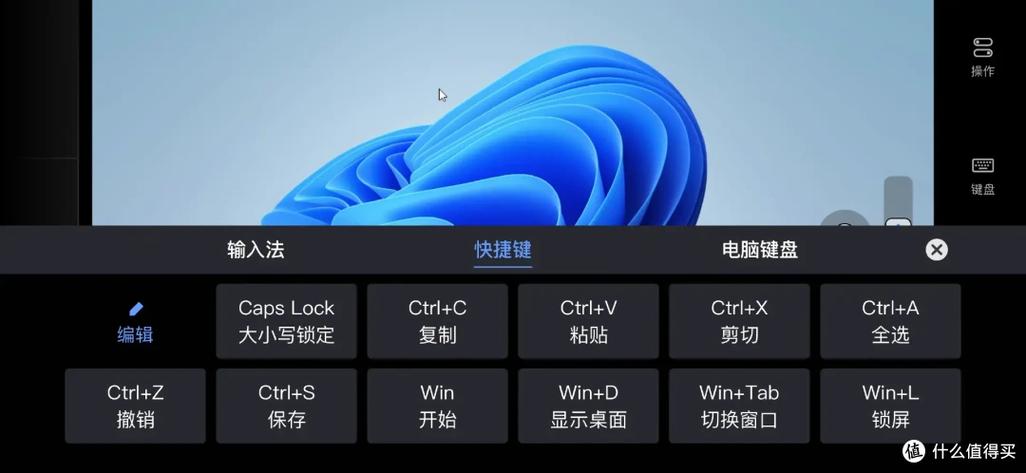 向日葵键盘无法输入截图3