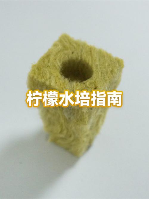 泡水喝用青柠檬好还是黄柠檬好
