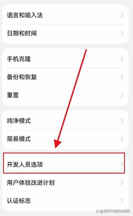 华为荣耀如何打开开发者选项截图2