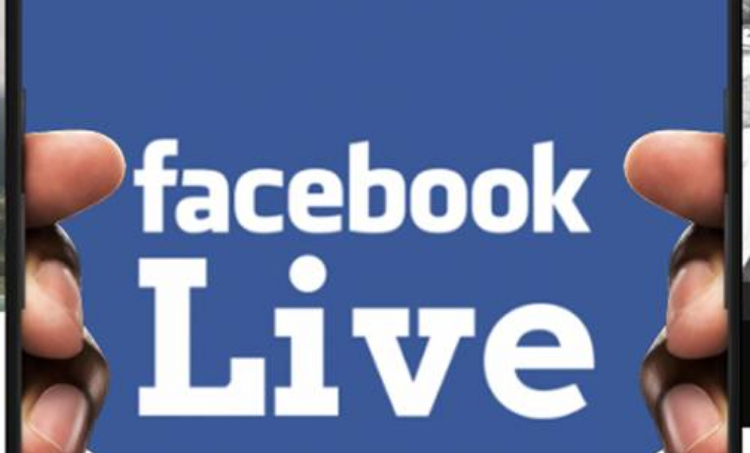 live截图3