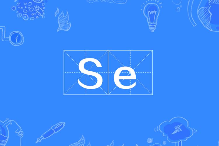公司的se是什么意思