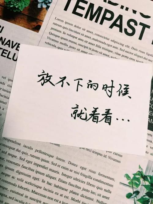 高情商晒红薯的句子
