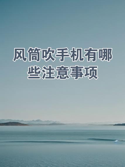苹果x掉水里能用吹风机吹吗