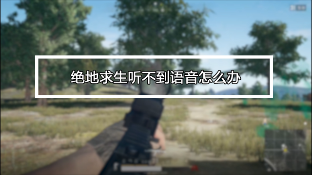 pubg突然听不到队友说话